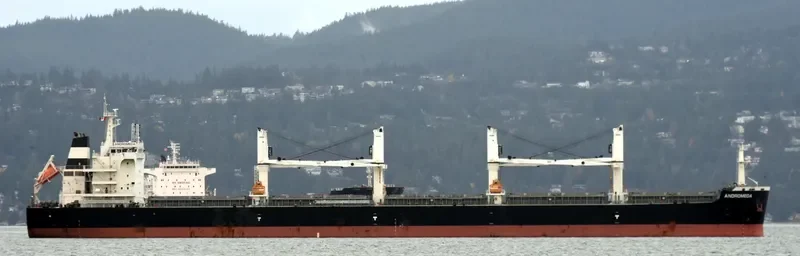 ANDROMEDA Bulk Carrier IMO 9705110 photo 3