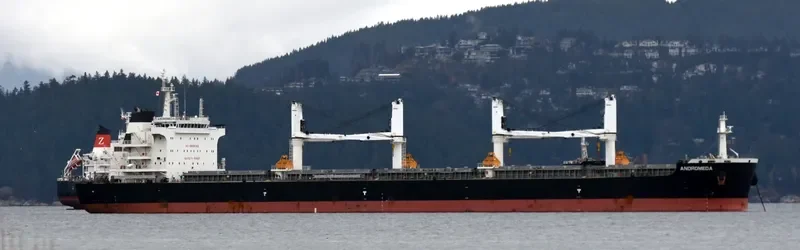 ANDROMEDA Bulk Carrier IMO 9705110 photo 4