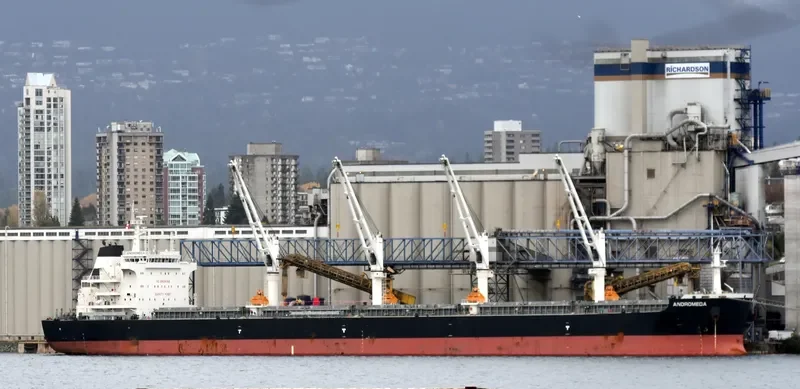 ANDROMEDA Bulk Carrier IMO 9705110 photo 6