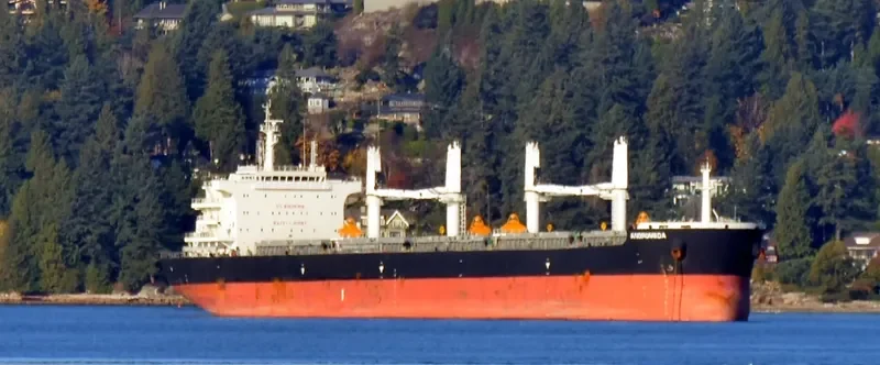 ANDROMEDA Bulk Carrier IMO 9705110 photo 7
