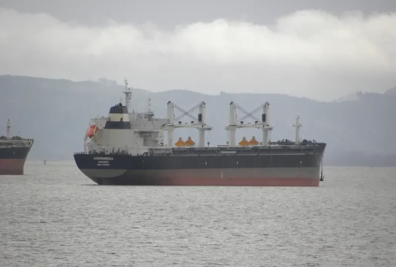 ANDROMEDA Bulk Carrier IMO 9705110 photo 8