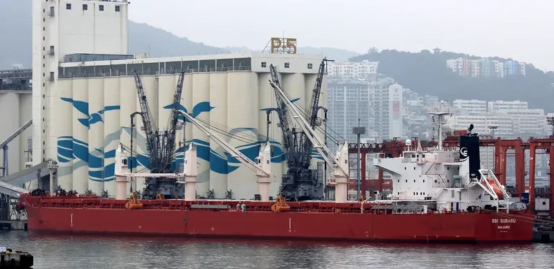 STAR SUBARU Bulk Carrier IMO 9705160