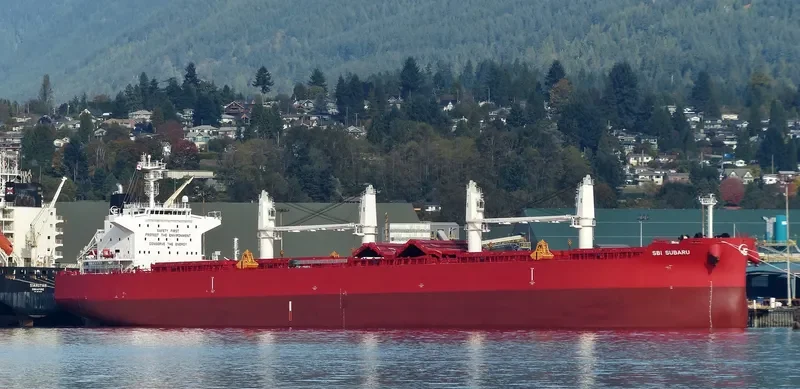 STAR SUBARU Bulk Carrier IMO 9705160 photo 10