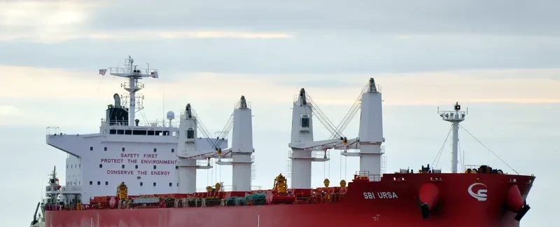 STAR BOVARIUS Bulk Carrier IMO 9705172 photo 2