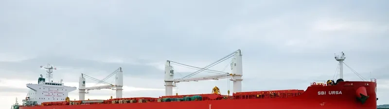 STAR BOVARIUS Bulk Carrier IMO 9705172 photo 3