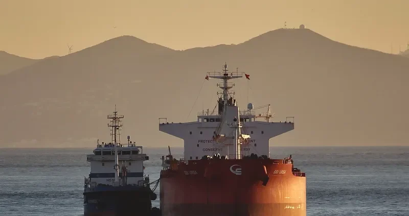 STAR BOVARIUS Bulk Carrier IMO 9705172 photo 7