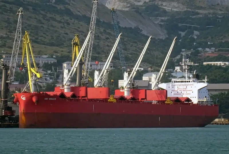NIGHTINGALE ISLAND Bulk Carrier IMO 9705287
