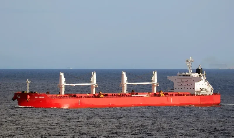 NIGHTINGALE ISLAND Bulk Carrier IMO 9705287 photo 2