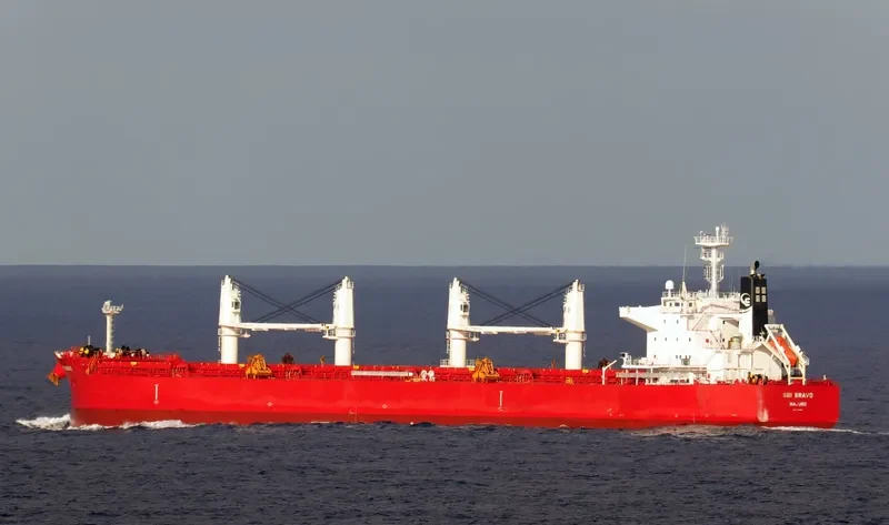 NIGHTINGALE ISLAND Bulk Carrier IMO 9705287 photo 3