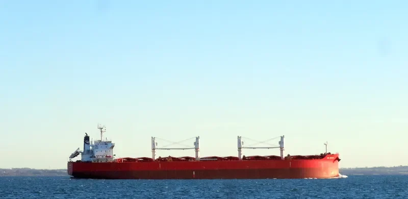 NIGHTINGALE ISLAND Bulk Carrier IMO 9705287 photo 4