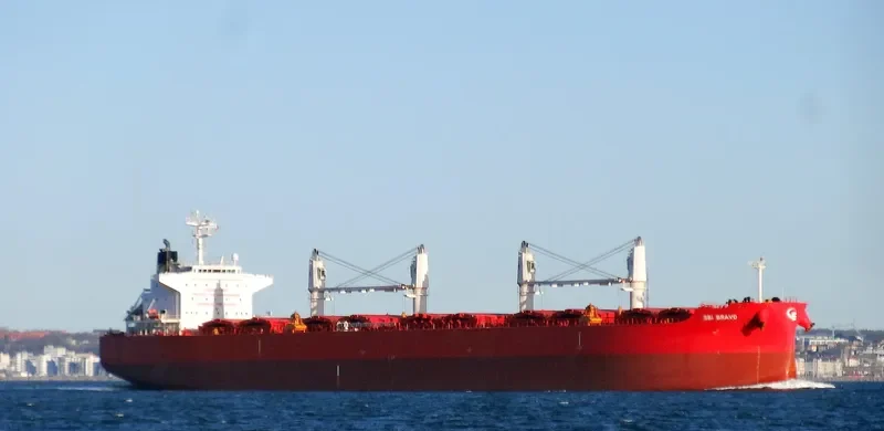 NIGHTINGALE ISLAND Bulk Carrier IMO 9705287 photo 5