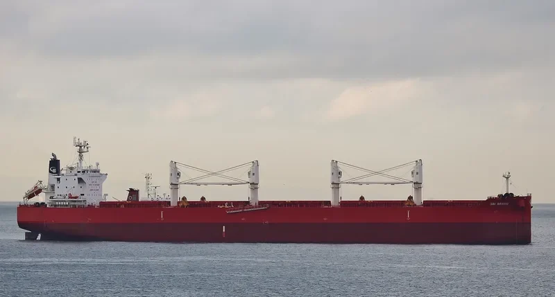 NIGHTINGALE ISLAND Bulk Carrier IMO 9705287 photo 6