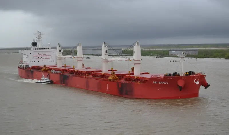 NIGHTINGALE ISLAND Bulk Carrier IMO 9705287 photo 7