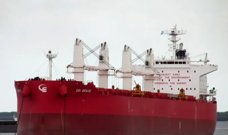 NIGHTINGALE ISLAND Bulk Carrier IMO 9705287 photo 8