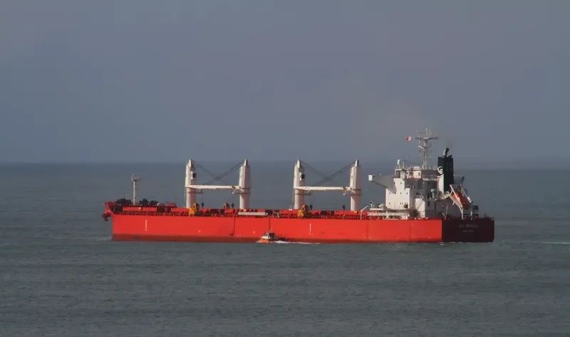 NIGHTINGALE ISLAND Bulk Carrier IMO 9705287 photo 9