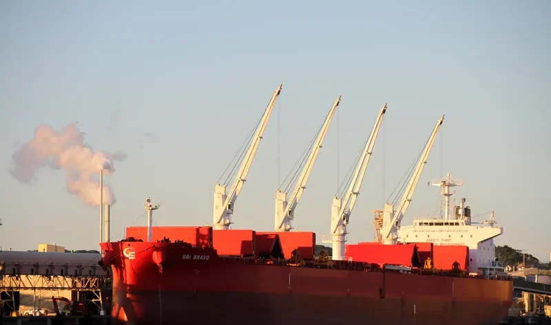 NIGHTINGALE ISLAND Bulk Carrier IMO 9705287 photo 10