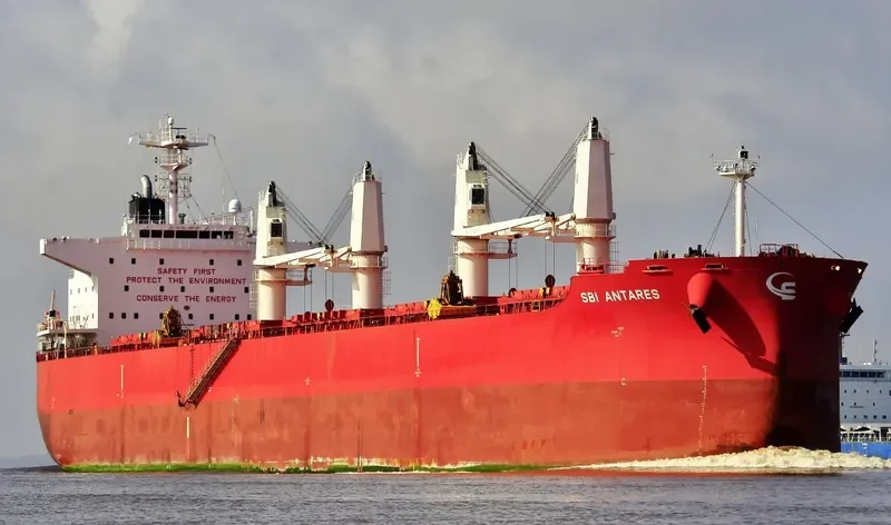 NOOTKA ISLAND Bulk Carrier IMO 9705299 photo 3