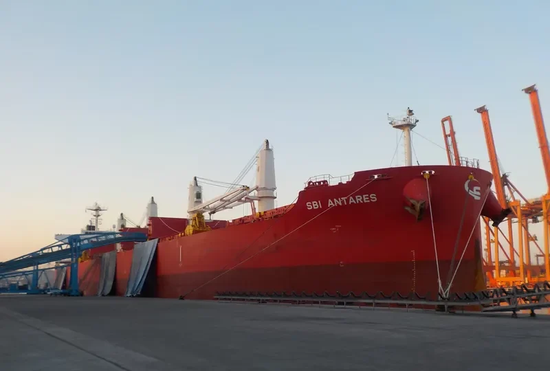 NOOTKA ISLAND Bulk Carrier IMO 9705299 photo 7