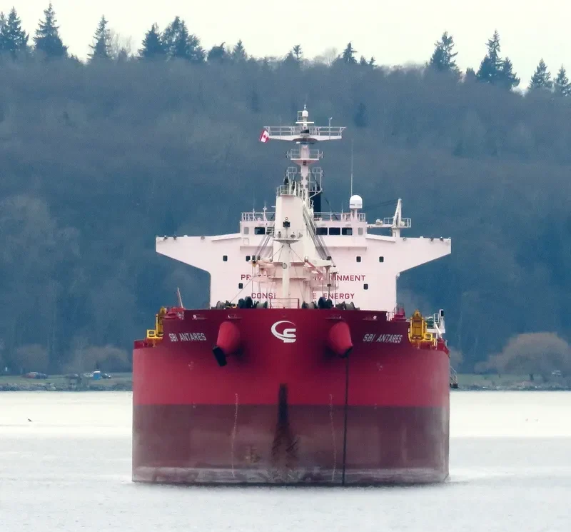 NOOTKA ISLAND Bulk Carrier IMO 9705299 photo 8