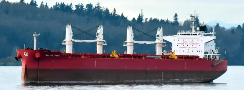 NOOTKA ISLAND Bulk Carrier IMO 9705299 photo 9