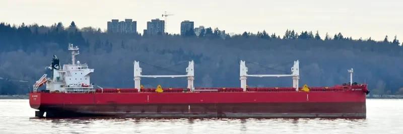 NOOTKA ISLAND Bulk Carrier IMO 9705299 photo 10