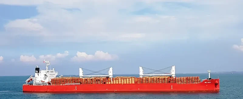 NORTH ISLAND Bulk Carrier IMO 9705304 photo 2