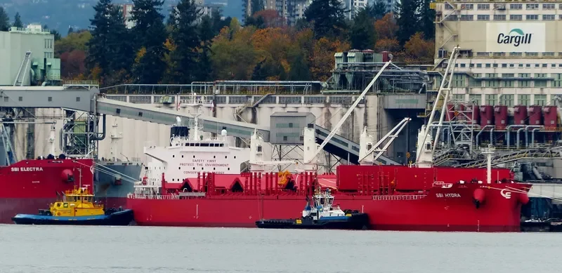 NORTH ISLAND Bulk Carrier IMO 9705304 photo 3
