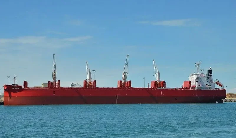 NORTH ISLAND Bulk Carrier IMO 9705304 photo 4