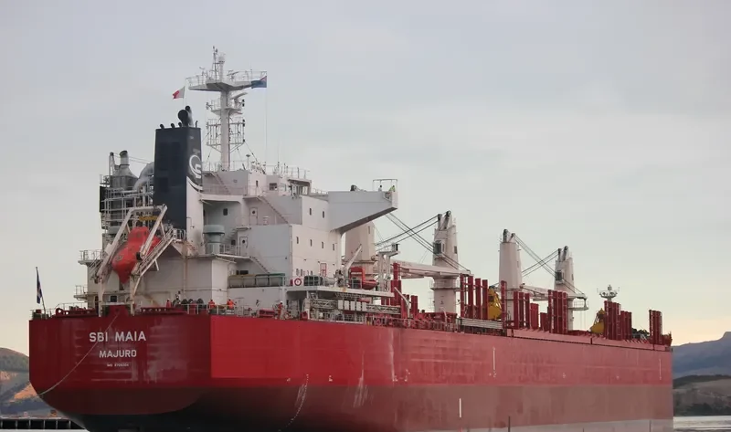 NORTH ISLAND Bulk Carrier IMO 9705304 photo 5