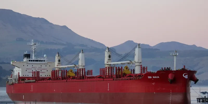 NORTH ISLAND Bulk Carrier IMO 9705304 photo 6