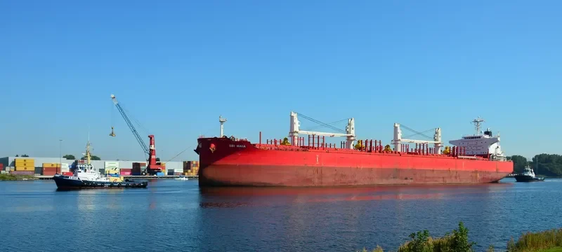 NORTH ISLAND Bulk Carrier IMO 9705304 photo 10