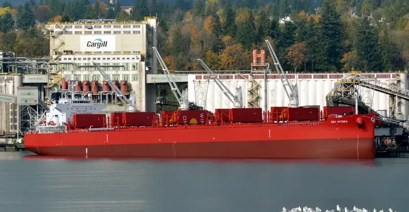 NOBLE ISLAND Bulk Carrier IMO 9705316