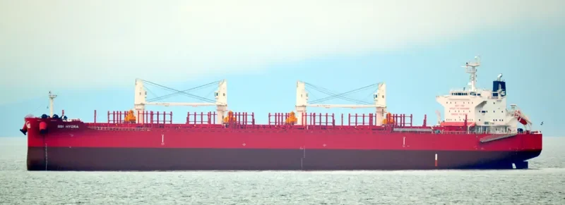 NOBLE ISLAND Bulk Carrier IMO 9705316 photo 2