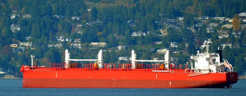 NOBLE ISLAND Bulk Carrier IMO 9705316 photo 3