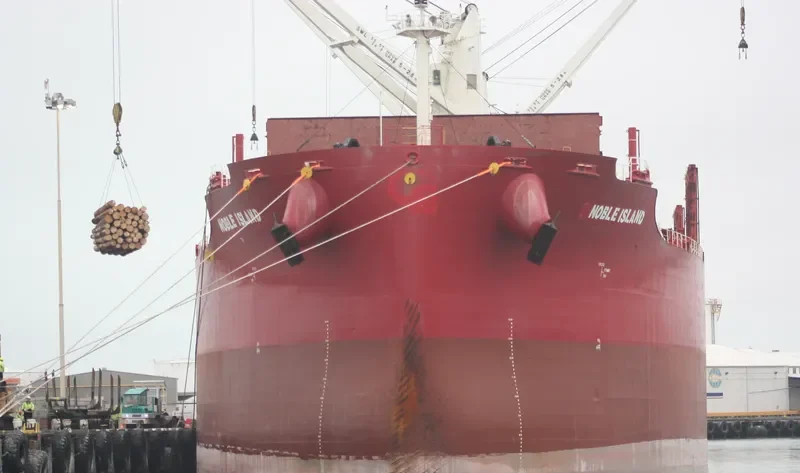 NOBLE ISLAND Bulk Carrier IMO 9705316 photo 5