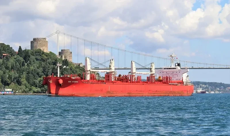 NOBLE ISLAND Bulk Carrier IMO 9705316 photo 7
