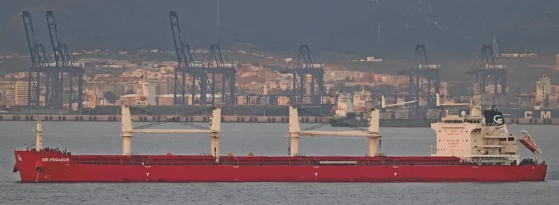 STAR ATHENA Bulk Carrier IMO 9705328
