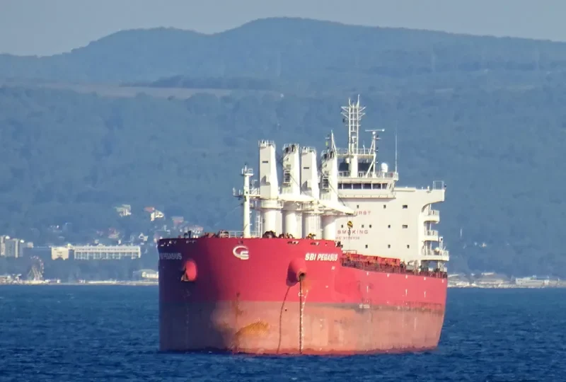 STAR ATHENA Bulk Carrier IMO 9705328 photo 2