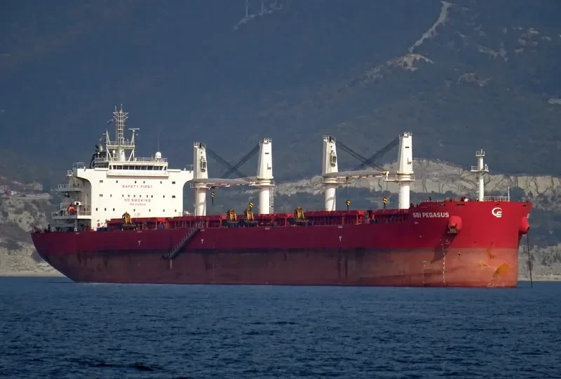 STAR ATHENA Bulk Carrier IMO 9705328 photo 3