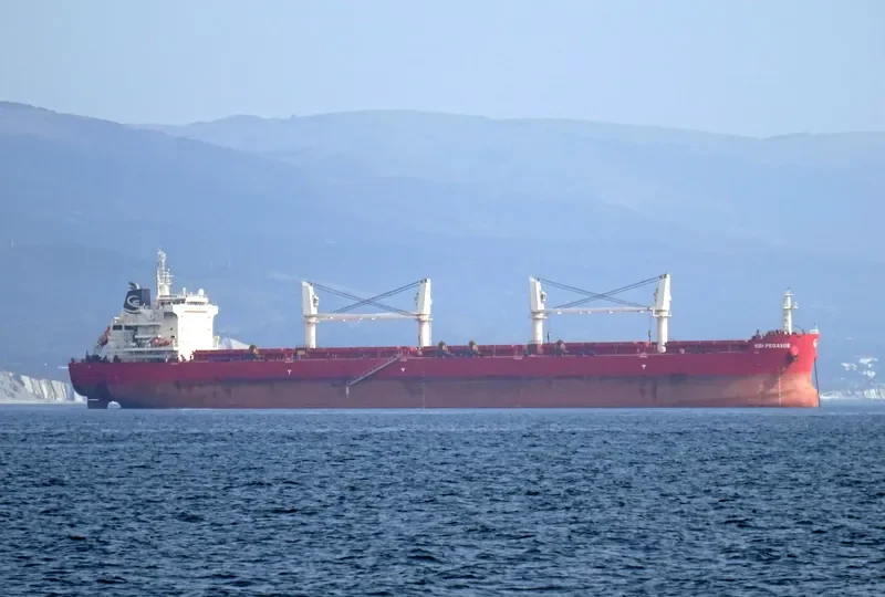 STAR ATHENA Bulk Carrier IMO 9705328 photo 4