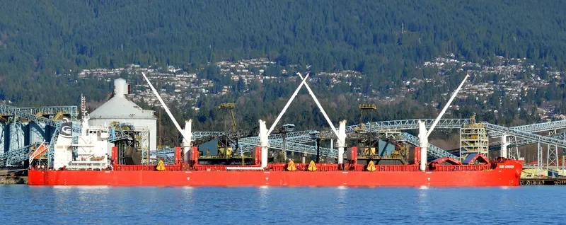 VANNA Bulk Carrier IMO 9705330 photo 2