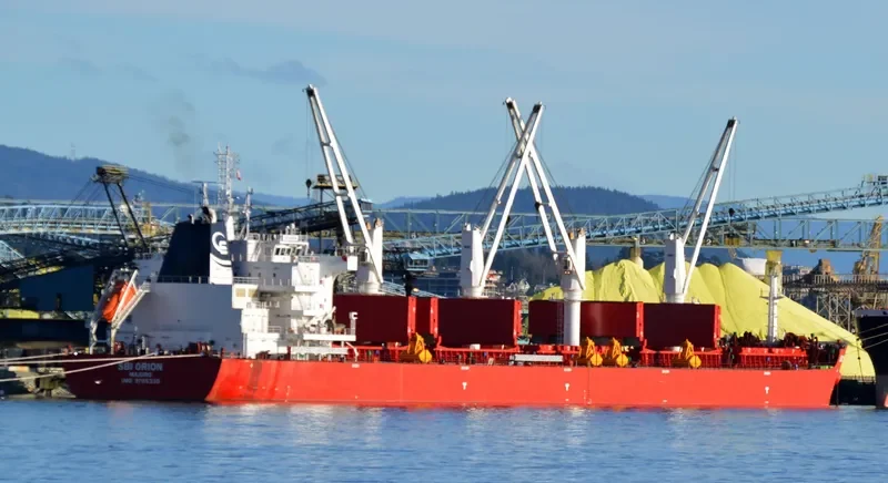 VANNA Bulk Carrier IMO 9705330 photo 3