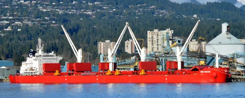 VANNA Bulk Carrier IMO 9705330 photo 4