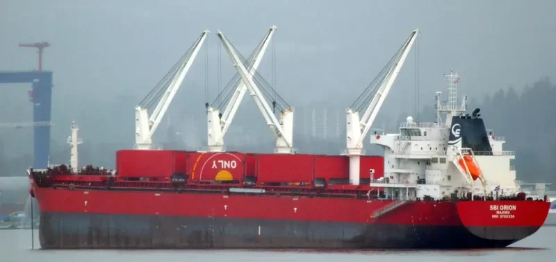 VANNA Bulk Carrier IMO 9705330 photo 5