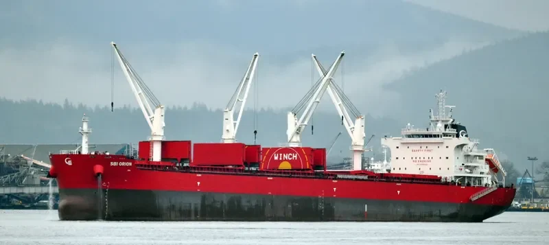 VANNA Bulk Carrier IMO 9705330 photo 6