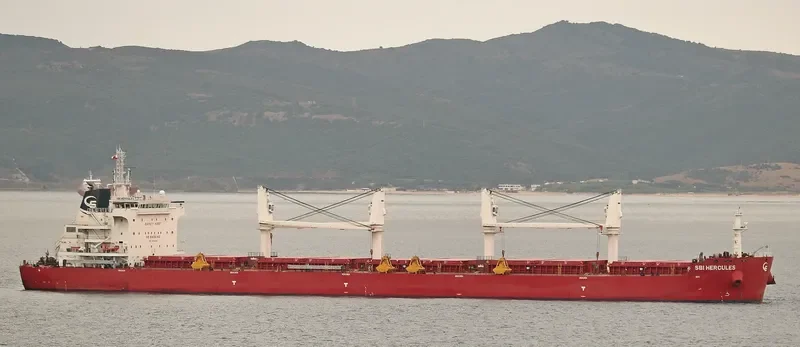 SBI HERCULES Bulk Carrier IMO 9705342