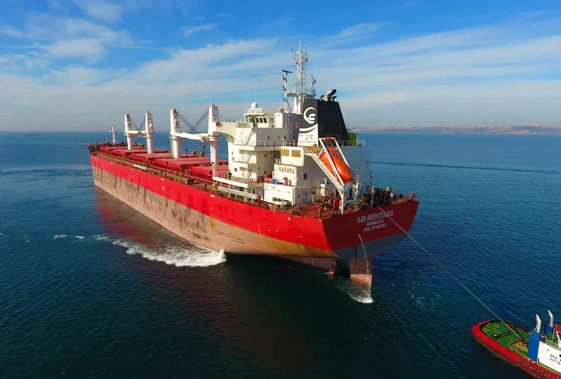 SBI HERCULES Bulk Carrier IMO 9705342 photo 4