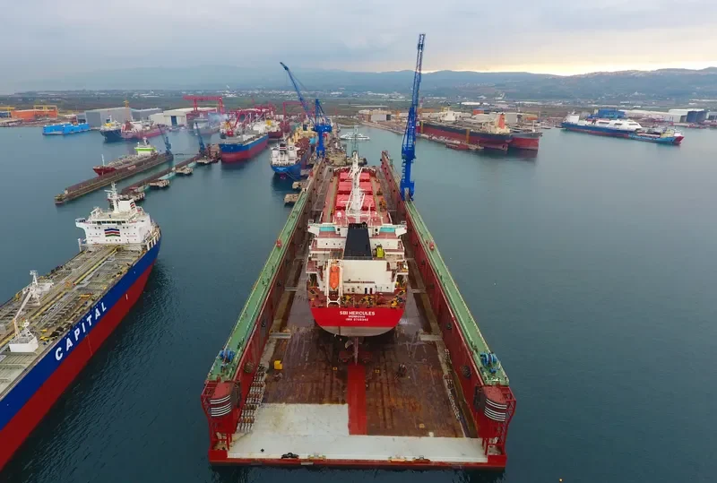 SBI HERCULES Bulk Carrier IMO 9705342 photo 6