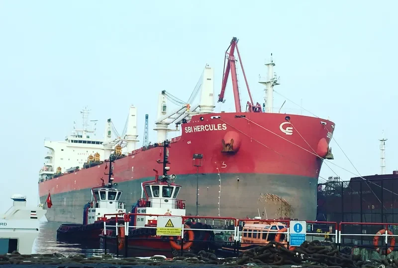 SBI HERCULES Bulk Carrier IMO 9705342 photo 8