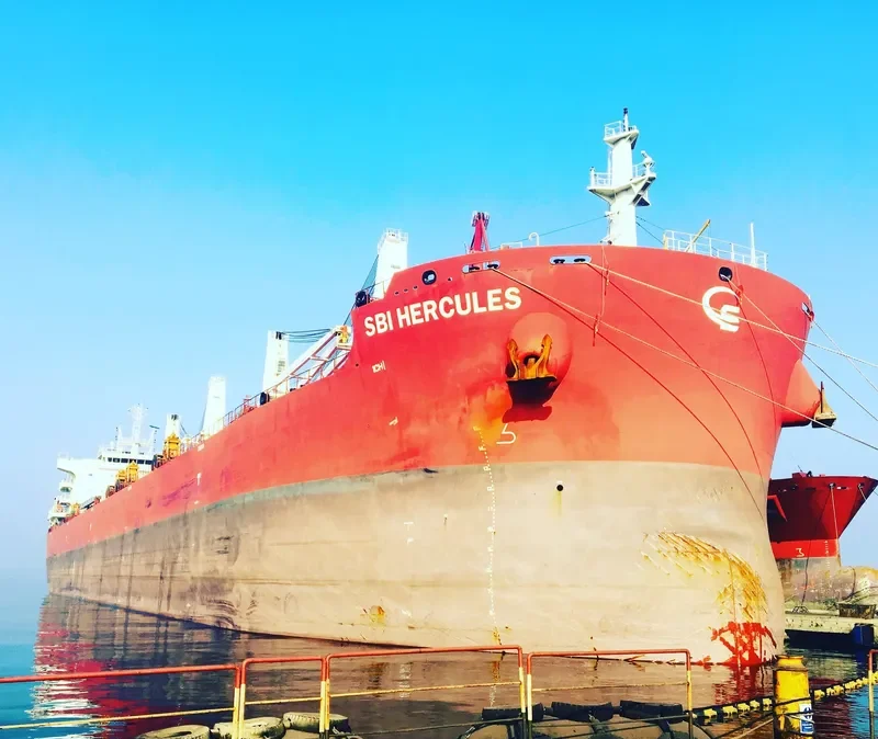 SBI HERCULES Bulk Carrier IMO 9705342 photo 9